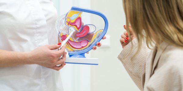 Gynecologist doctor consulting patient using uterus anatomy model